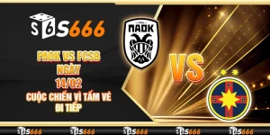 PAOK vs FCSB ngày 14/02 - Cuộc chiến vì tấm vé đi tiếp