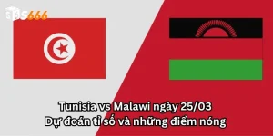 Tunisia vs Malawi ngày 25/03 - Dự đoán tỉ số và những điểm nóng